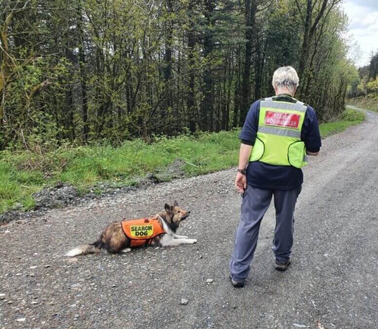A search dog lying on a gravel path with a trainer wearing a "SEARCH DOG HANDLER" vest in a wooded area.